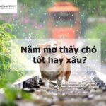 Nằm mơ thấy chó là tốt hay xấu