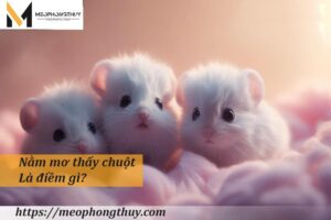 Nằm mơ thấy chuột là điềm gì